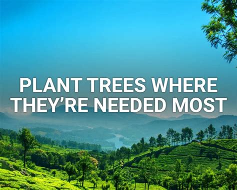 Plant Trees Where They're Needed Most .